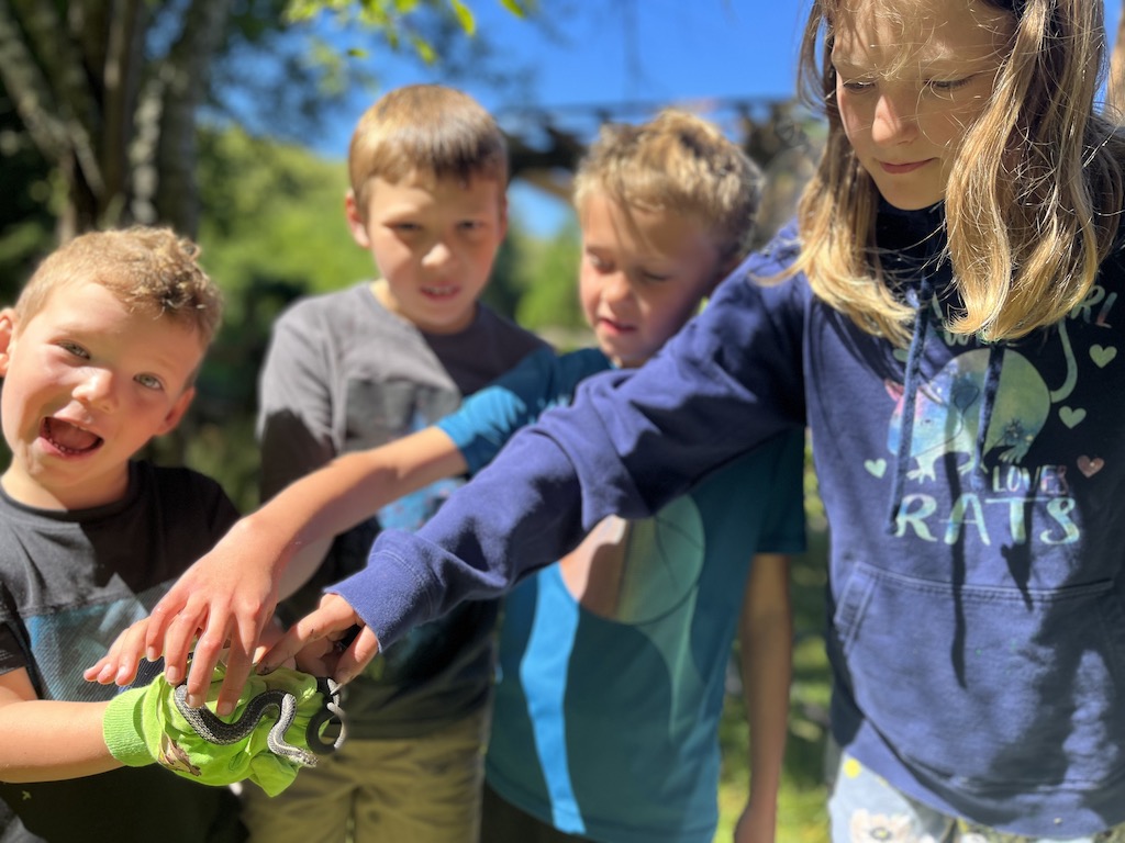 afterschool program, Bainbridge Island, farms, kids