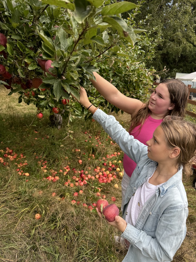 monday farm hang, girls apple picking on the farm