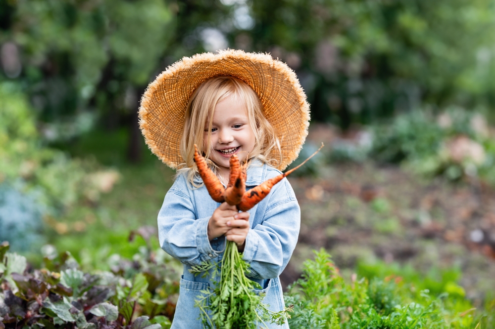 farm on Bainbridge Island